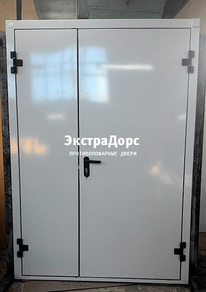 Противопожарная дверь EI 30 3 типа двупольная белая в Конаково  купить