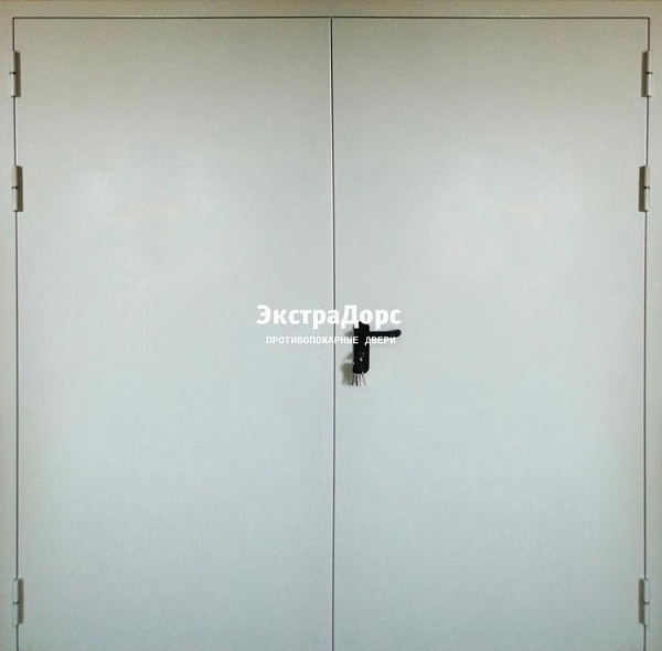 Двухстворчатая огнестойкая дверь ДПМ-01-30 двупольная (правая) в Конаково  купить